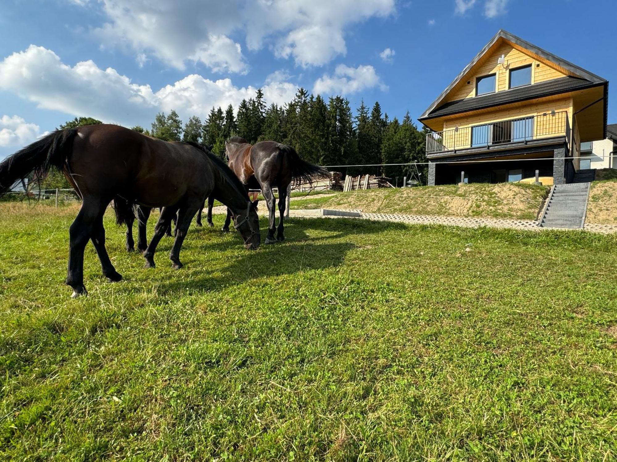 De-luxe Buflak Holiday home Nowy Targ