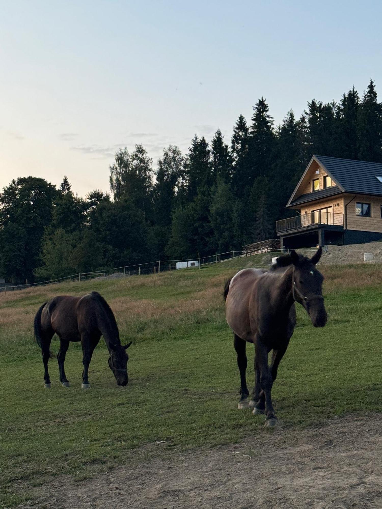 Holiday home De-luxe Buflak *
